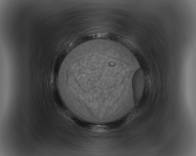 X0000082990222200703020850