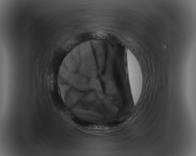 X0000082990223200703020850