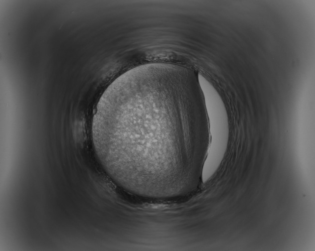 X0000082990224200703020850