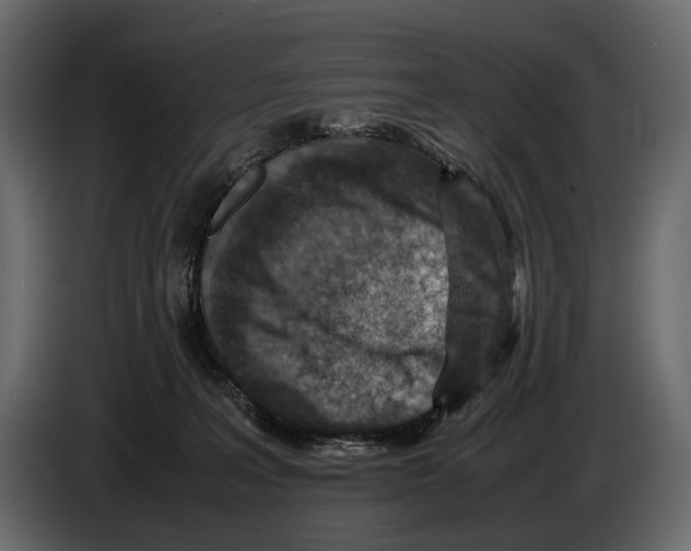 X0000082990227200703020850