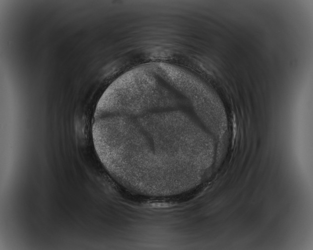 X0000082990228200703020850