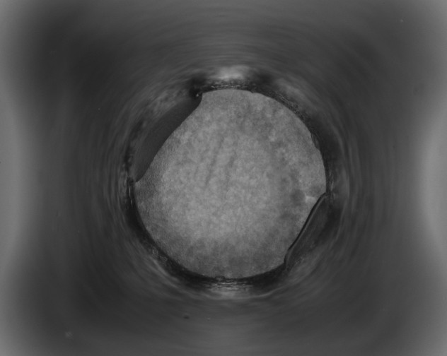 X0000082990231200703020850