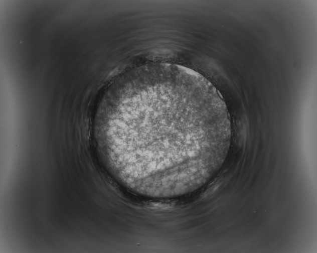 X0000082990232200703020850