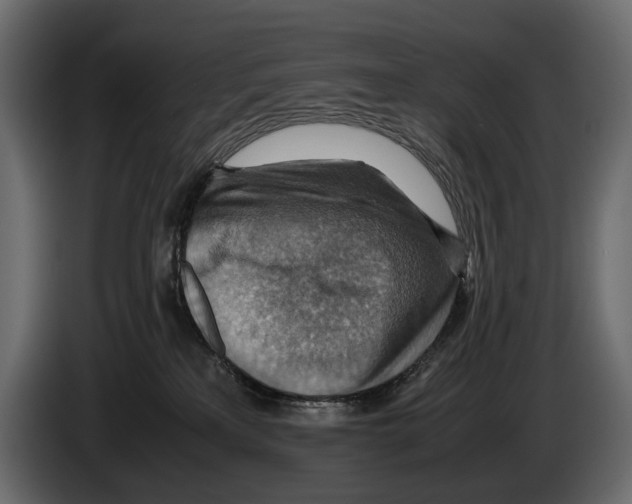 X0000082990233200703020850