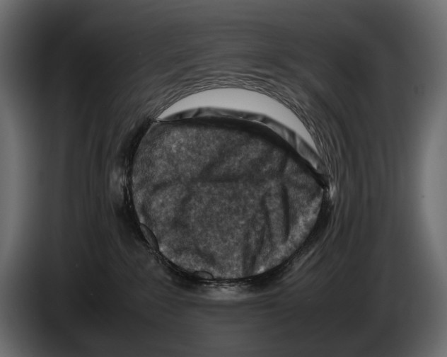 X0000082990235200703020850