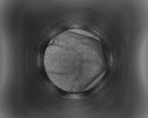 X0000082990236200703020850