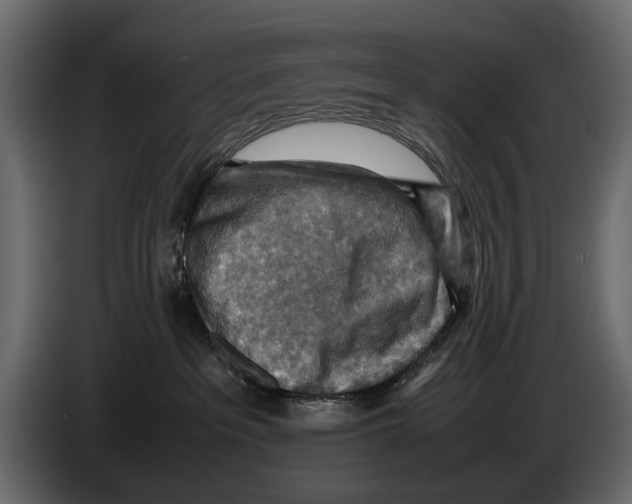 X0000082990237200703020850