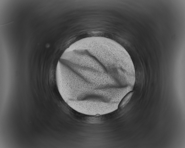 X0000082990238200703020850