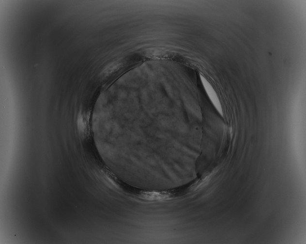 X0000082990239200703020850