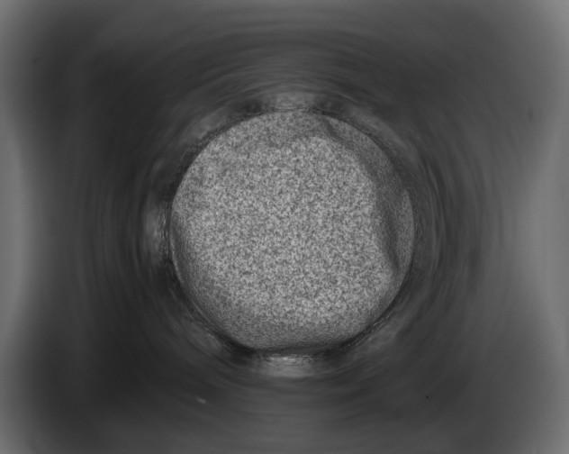 X0000082990240200703020850