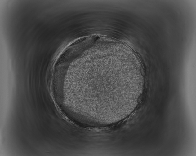 X0000082990241200703020850