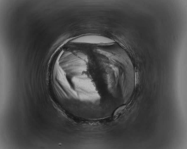 X0000082990243200703020850