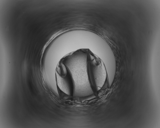 X0000082990244200703020850