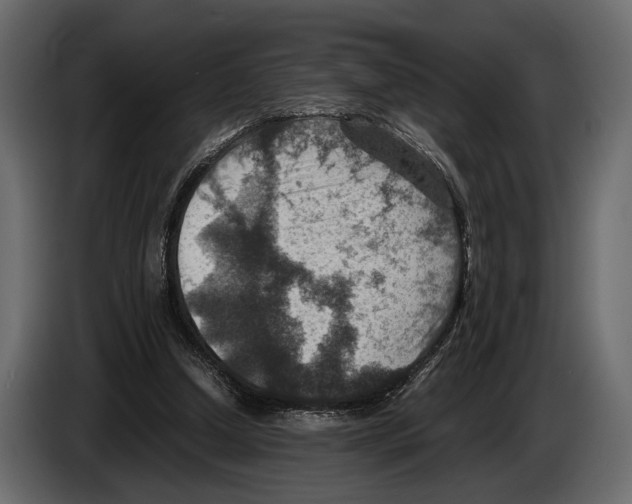 X0000082990250200703020850