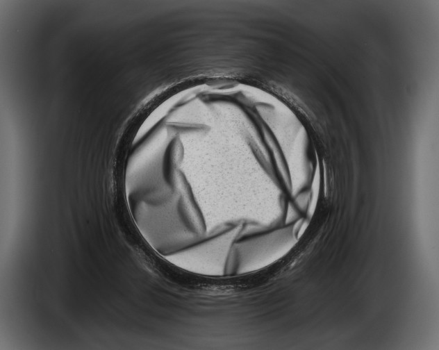 X0000082990252200703020850