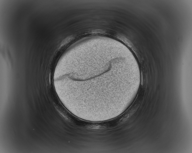 X0000082990253200703020850