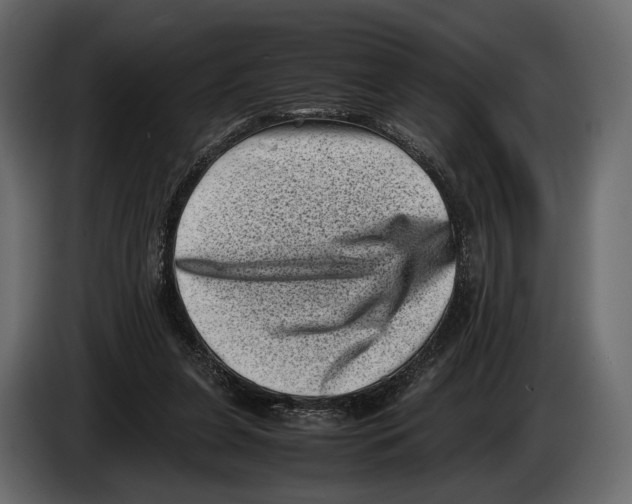 X0000082990255200703020850