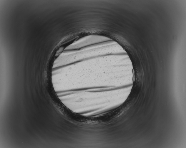 X0000082990256200703020850