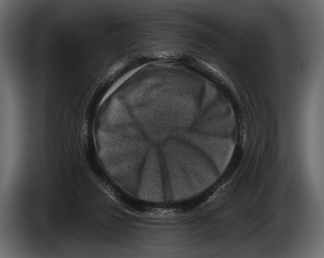 X0000082990260200703020850