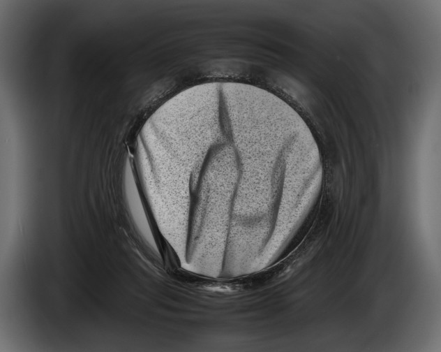 X0000082990261200703020850