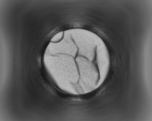 X0000082990262200703020850