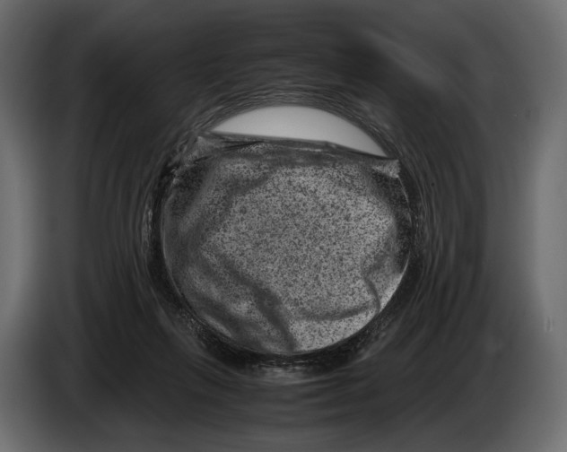 X0000082990263200703020850