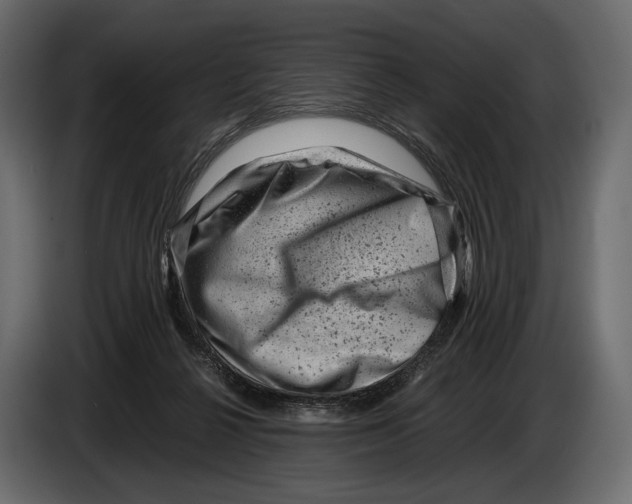 X0000082990264200703020850