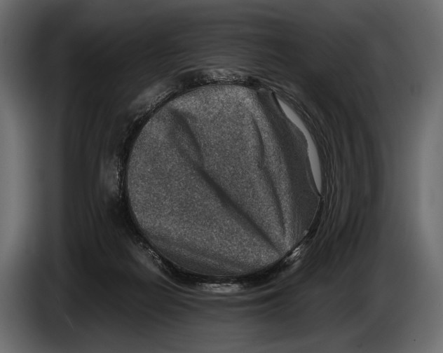 X0000082990266200703020850