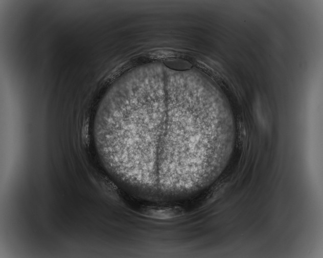 X0000082990267200703020850