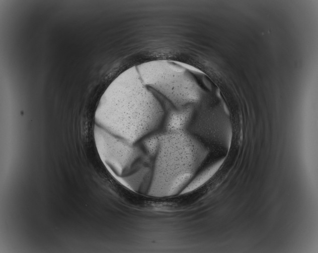 X0000082990268200703020850