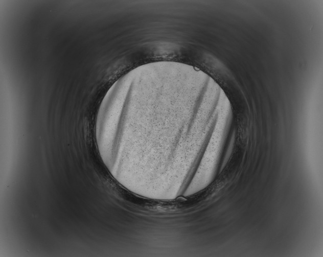 X0000082990270200703020850