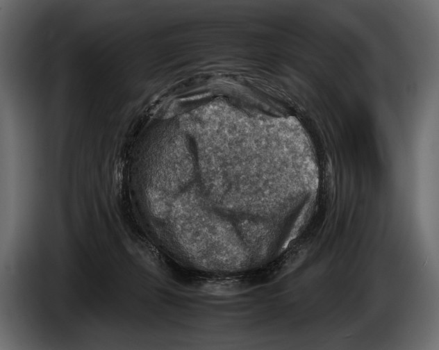 X0000082990271200703020850