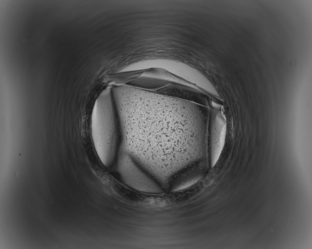 X0000082990272200703020850