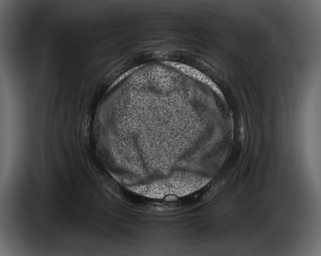 X0000082990275200703020850