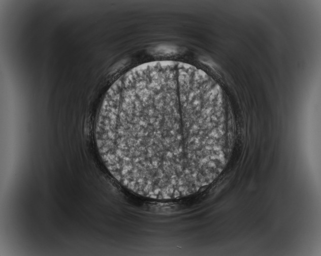 X0000082990277200703020850