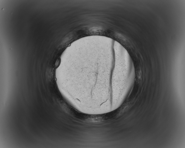 X0000082990278200703020850