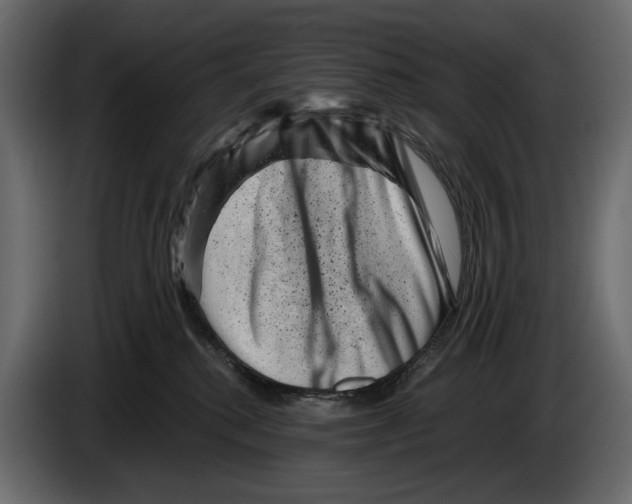 X0000082990280200703020850