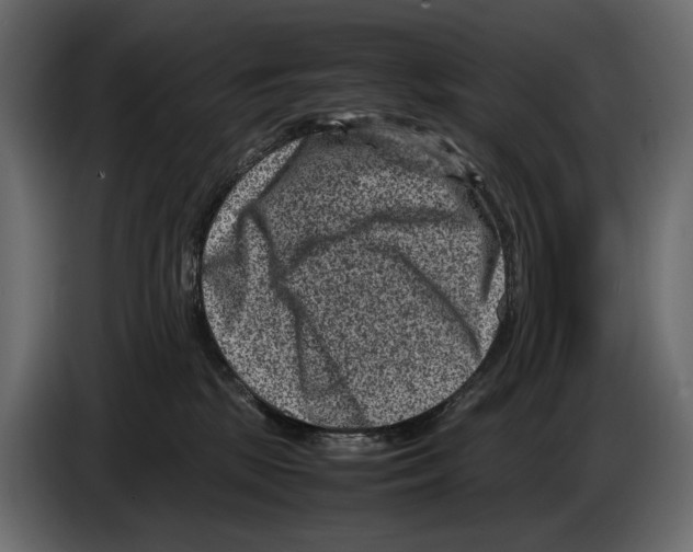 X0000082990281200703020850