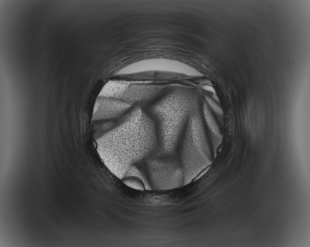 X0000082990283200703020850