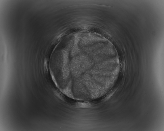 X0000082990286200703020850