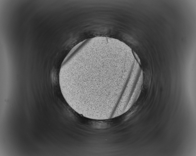 X0000082990287200703020850