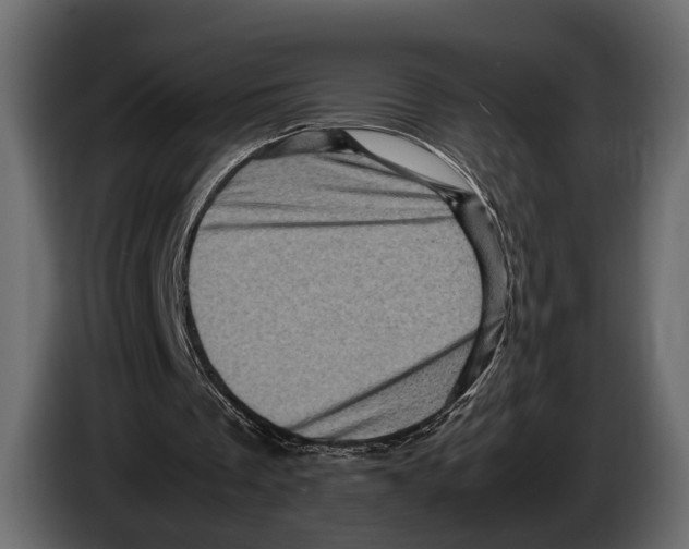 X0000082990289200703020850