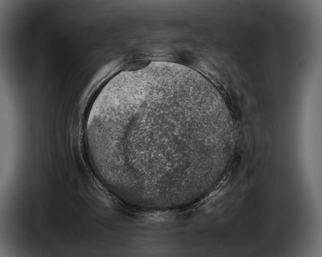 X0000082990293200703020850