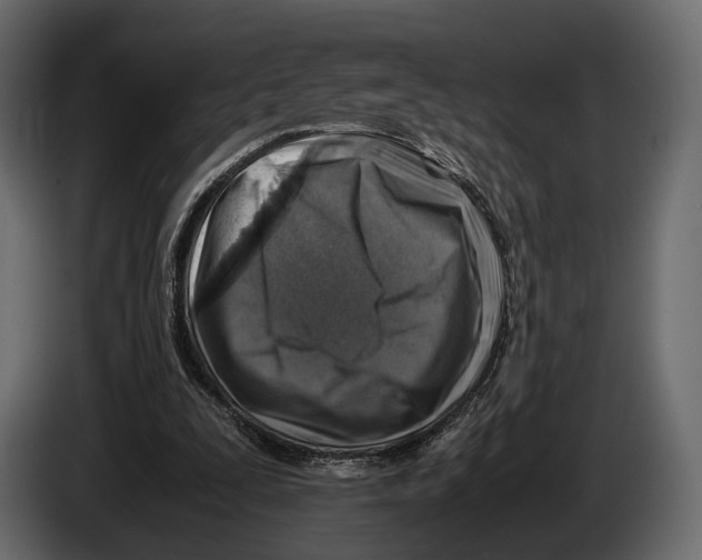 X0000082990295200703020849