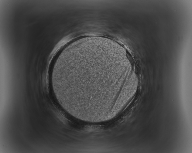 X0000082990296200703020849