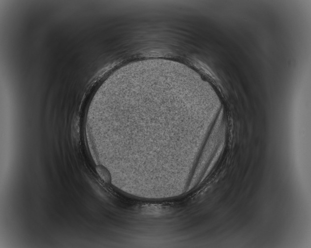 X0000082990298200703020849