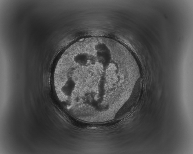 X0000082990299200703020849