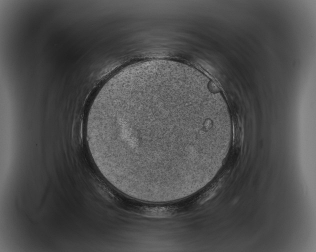 X0000082990301200703020849