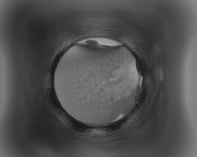 X0000082990303200703020849