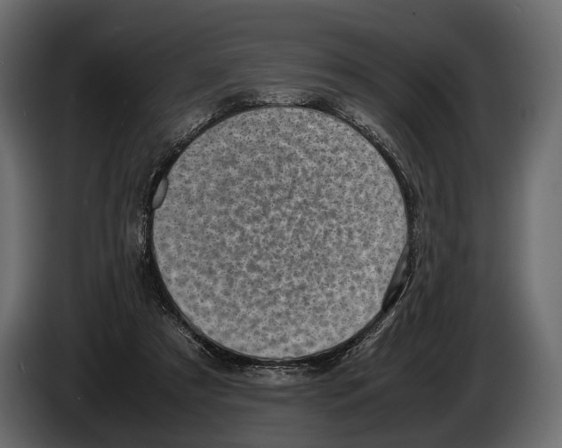 X0000082990305200703020849